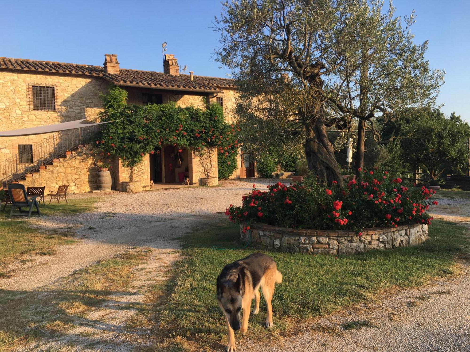 Agriturismo Podere Dell' Olmo Амелиа Екстериор снимка
