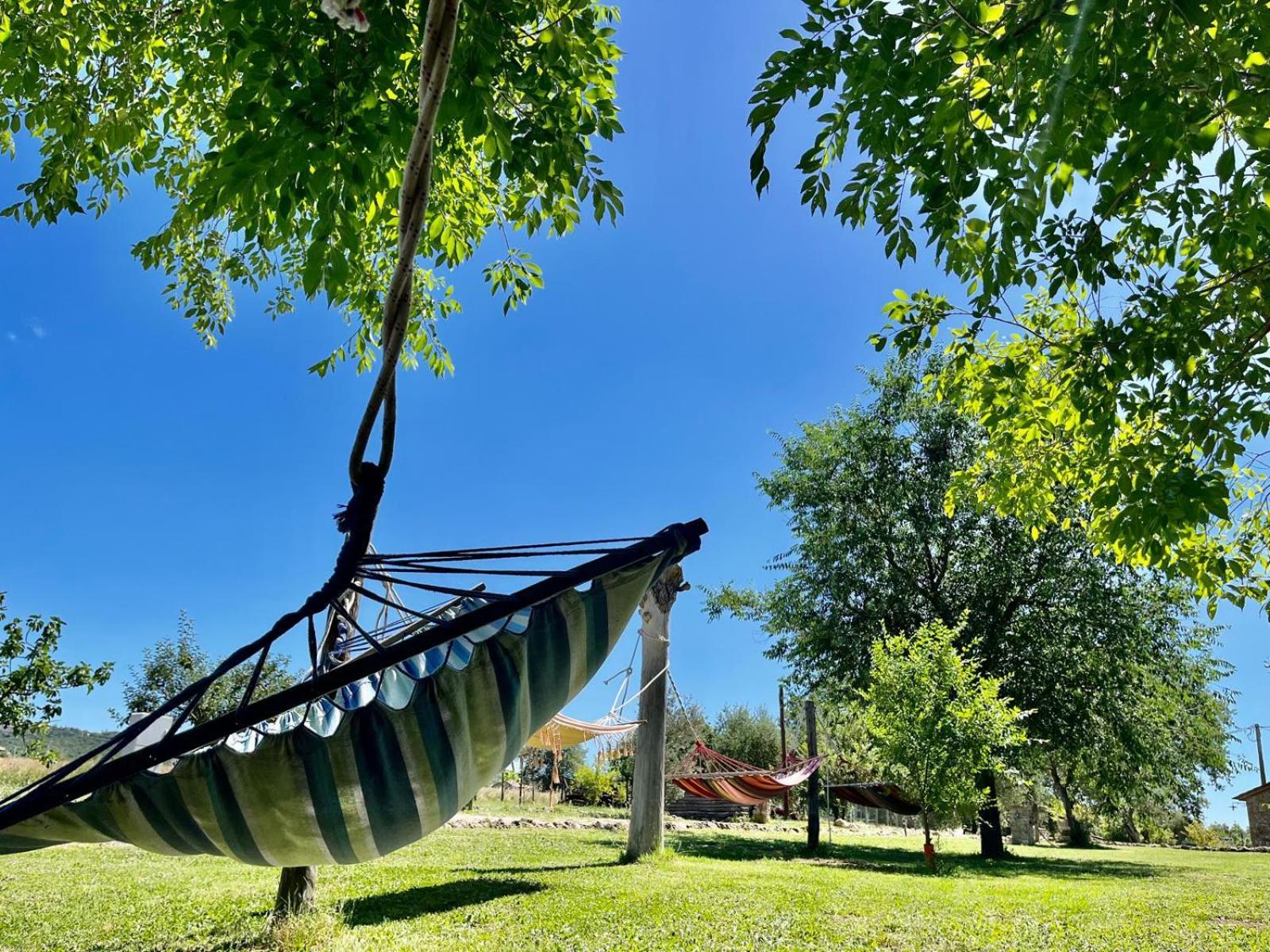 Agriturismo Podere Dell' Olmo Амелиа Екстериор снимка