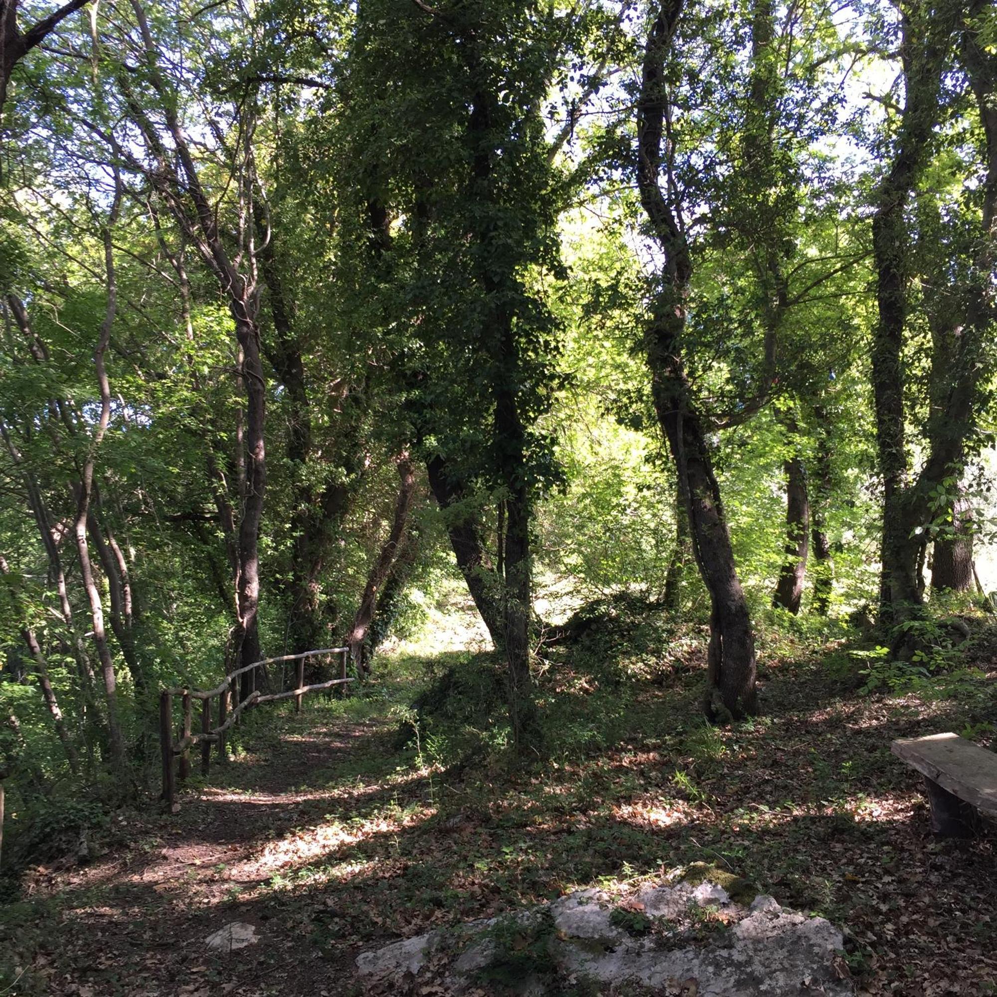 Agriturismo Podere Dell' Olmo Амелиа Екстериор снимка
