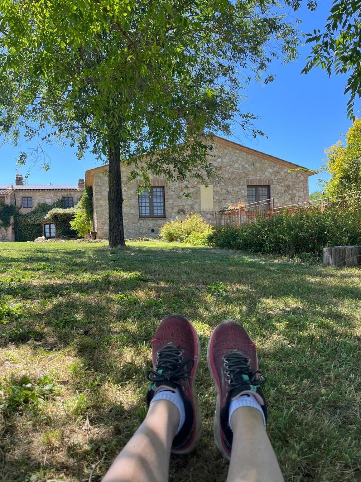 Agriturismo Podere Dell' Olmo Амелиа Екстериор снимка