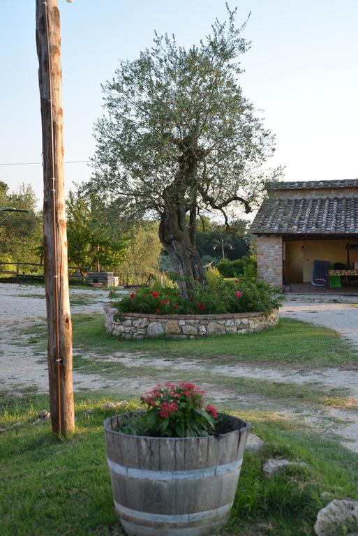 Agriturismo Podere Dell' Olmo Амелиа Екстериор снимка