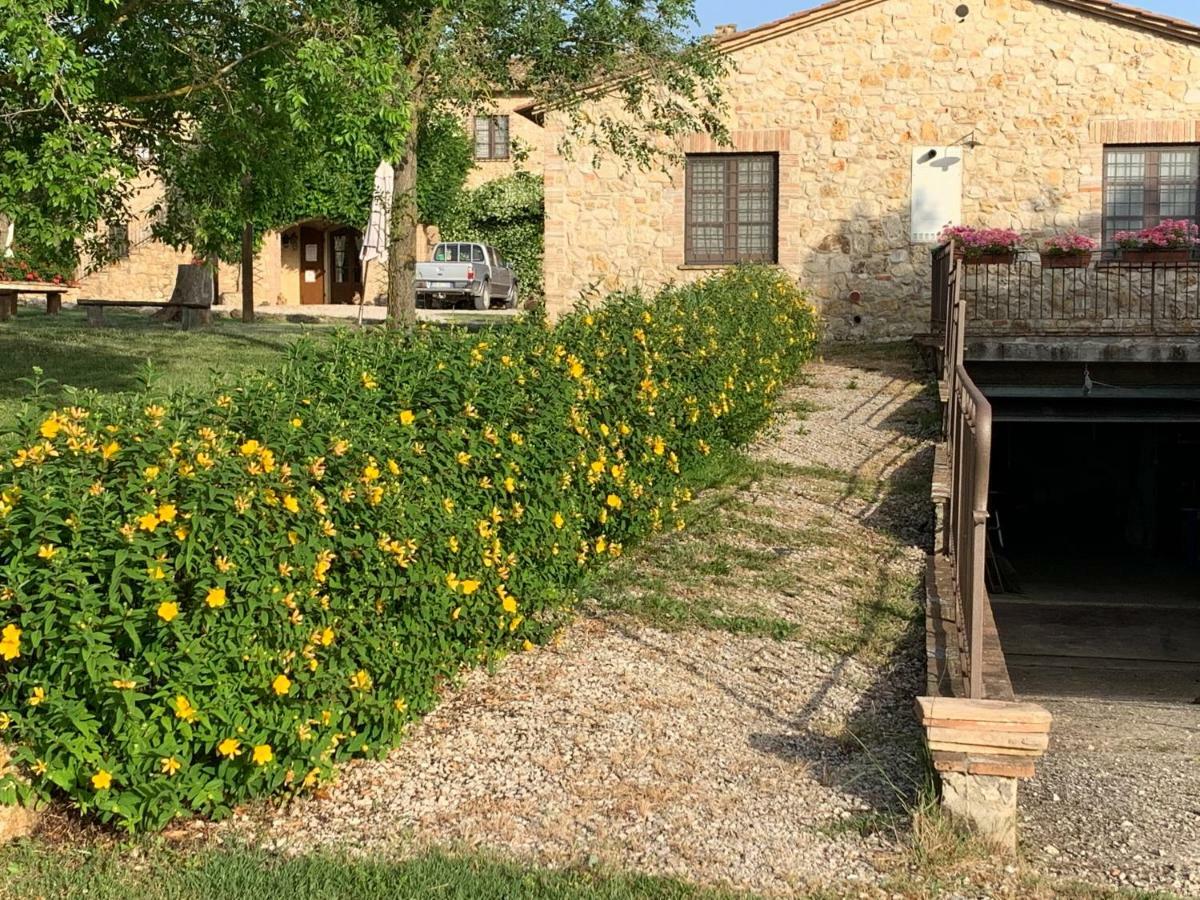 Agriturismo Podere Dell' Olmo Амелиа Екстериор снимка
