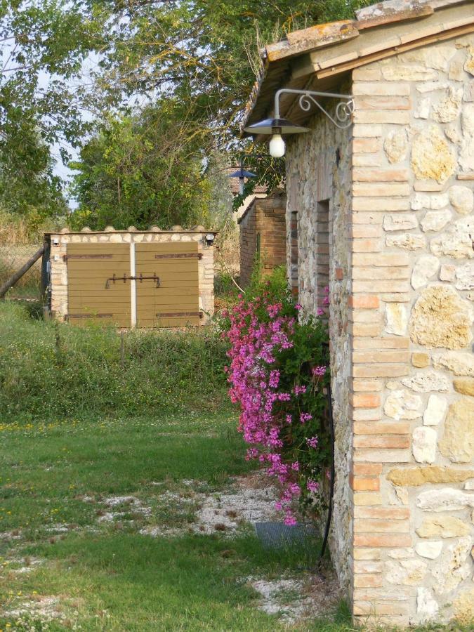 Agriturismo Podere Dell' Olmo Амелиа Екстериор снимка