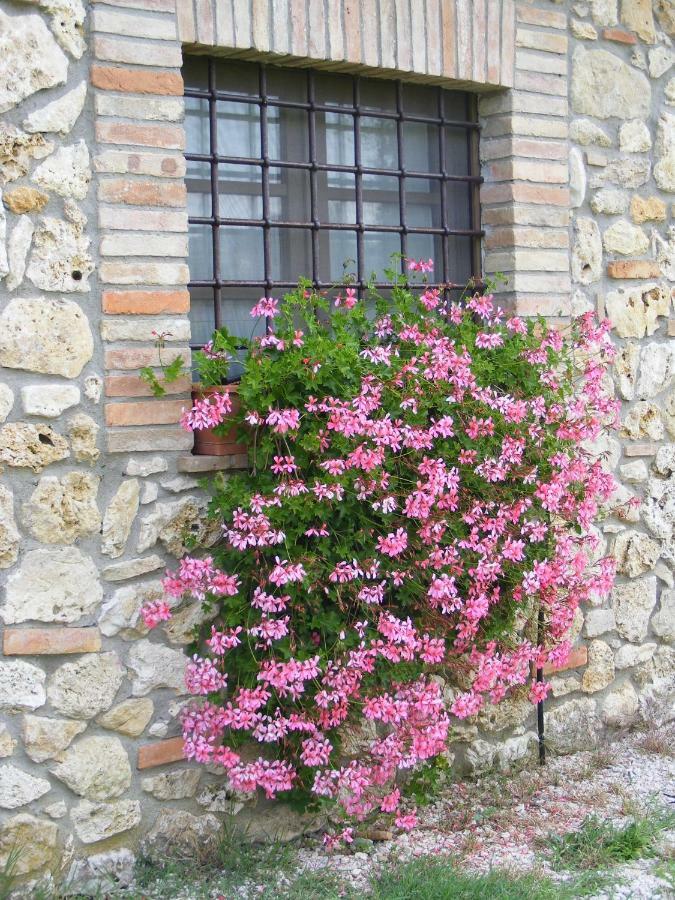 Agriturismo Podere Dell' Olmo Амелиа Екстериор снимка