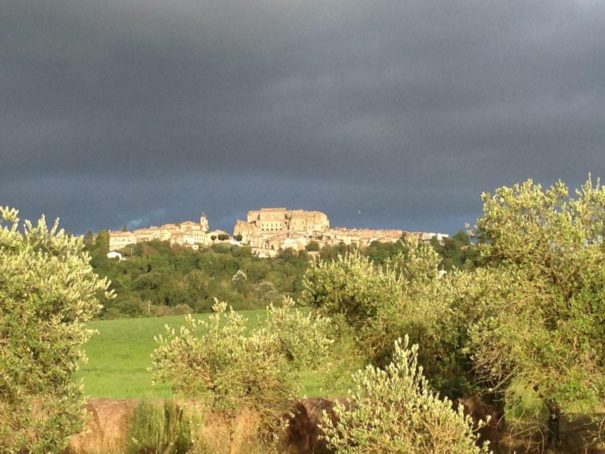 Agriturismo Podere Dell' Olmo Амелиа Екстериор снимка